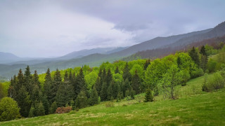 ©️ Depositphotos.com