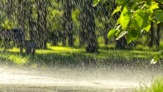 ©️ Depositphotos.com