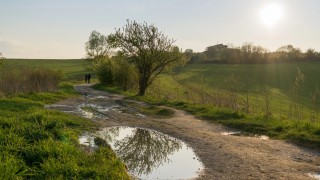©️ Depositphotos.com