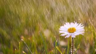 ©️ Depositphotos.com