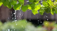 Is summer slowing down? Rain and gusty winds expected in Kazakhstan