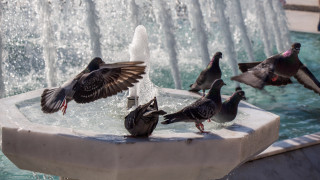 ©️ Depositphotos.com