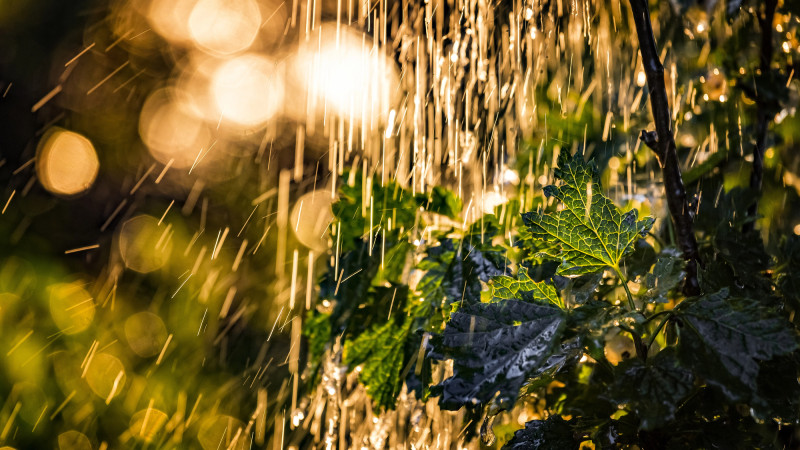 ©️ Depositphotos.com