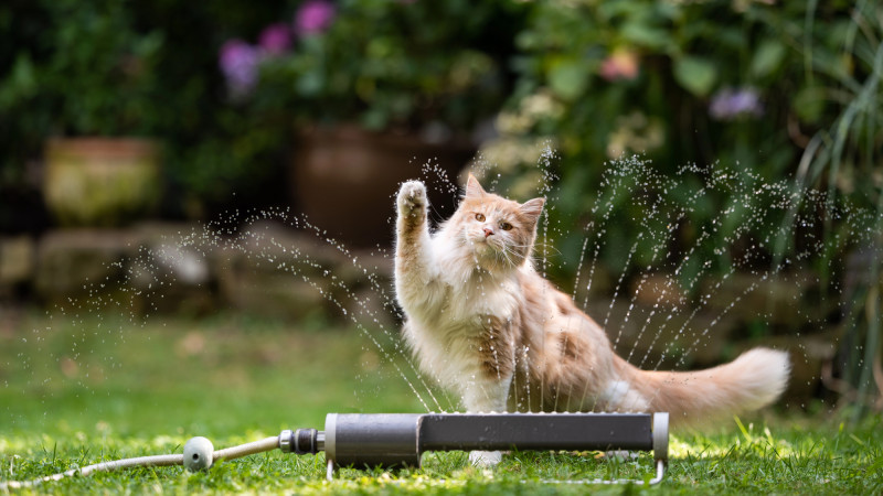©️ Depositphotos.com