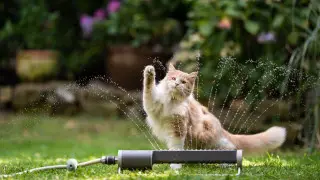 ©️ Depositphotos.com