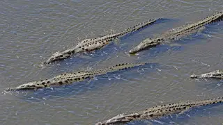 Locals in Spain resort use fake tips and warnings to scare off tourists