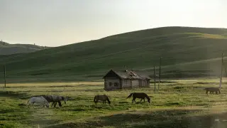 ©️ Tengrinews.kz / Turar Kazangapov