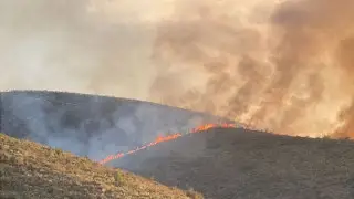 Wildfire spreads across 8 hectares in foothills near Almaty