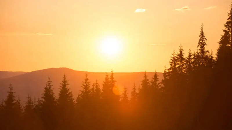 ©️ Depositphotos.com