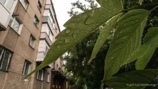 Heat up to +38°C and thunderstorms: weather in Kazakhstan on August 6