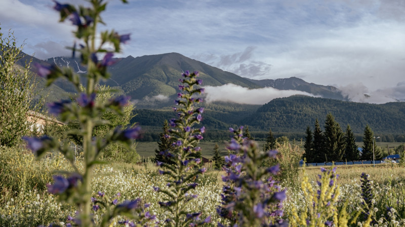 ©️ Tengrinews.kz / Turar Kazangapov