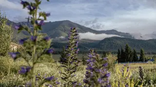 Cyclone with rain is approaching Kazakhstan
