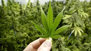 Russia extradited drug trafficker to Kazakhstan who had been hiding for over six years