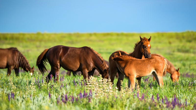 ©️ Depositphotos.com