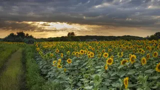 Cyclone approaches Kazakhstan: Forecasters predict downpours and scorching sun