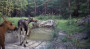 Image created from video frames