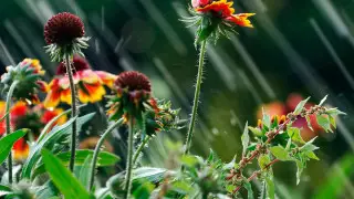 Cyclone to hit Kazakhstan: Where to expect heavy rain and cooling