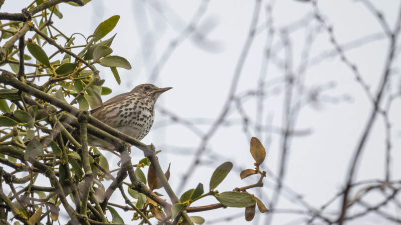 ©️ Depositphotos.com