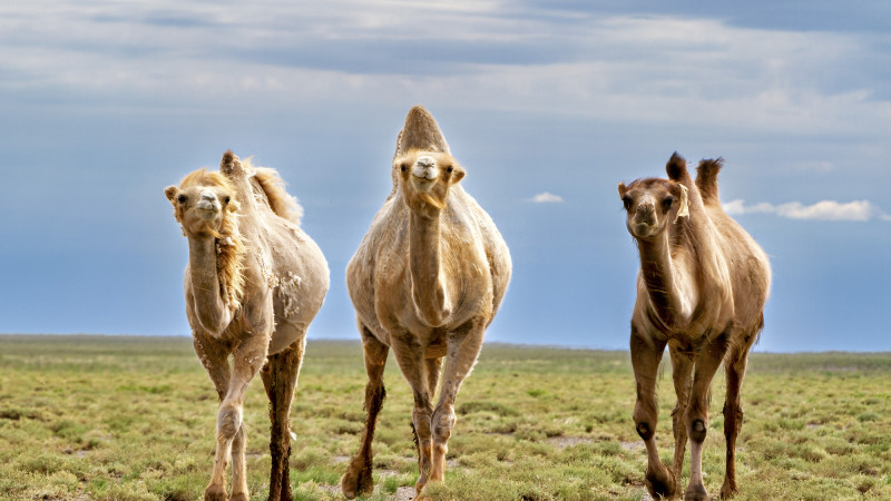 ©️ Depositphotos.com