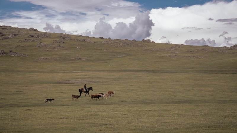 ©️ Tengrinews.kz / Turar Kazangapov