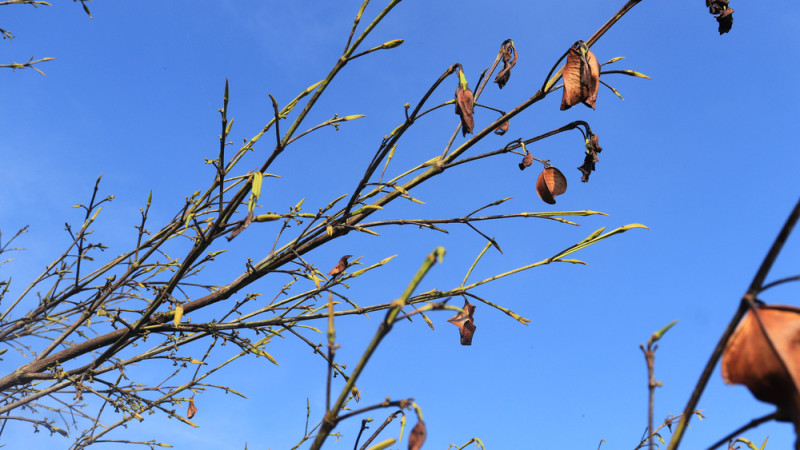 ©️ Depositphotos.com