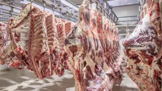 Kazakhstan moves to curb beef and fuel prices with export limits