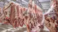 Kazakhstan moves to curb beef and fuel prices with export limits