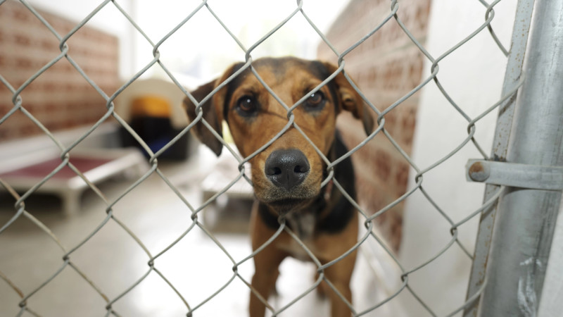 ©️ Depositphotos.com