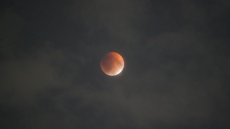 Photo Tengrinews.kz/Marzhan Kuandykova