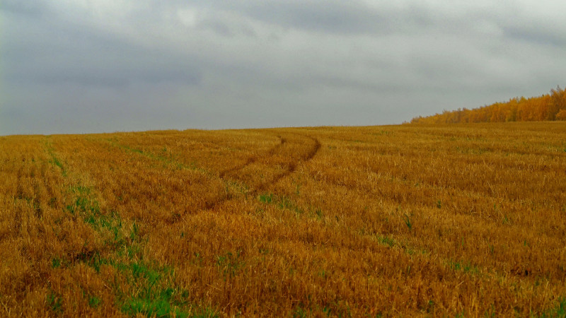 ©️ Depositphotos.com