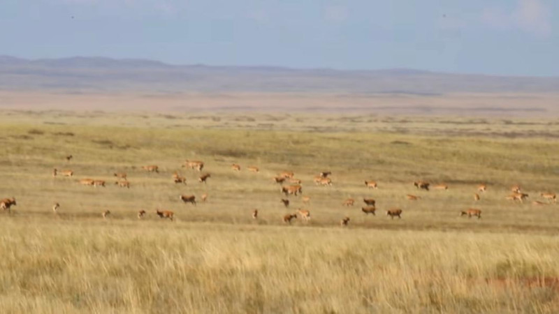 Instagram/@korgalzhyn_qorygy