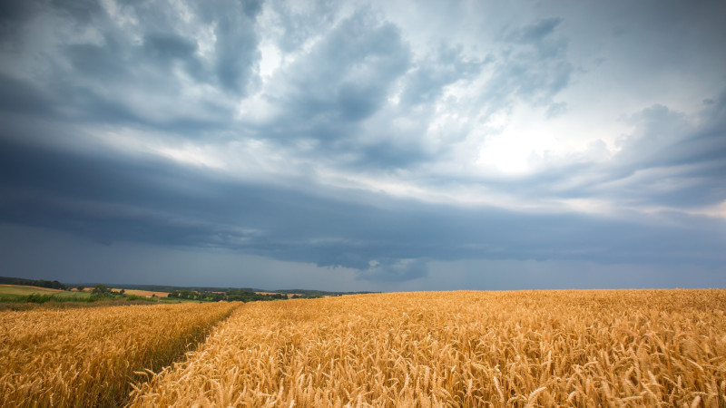 ©️ Depositphotos.com