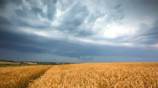 Strong winds and thunderstorms to hit Kazakhstan