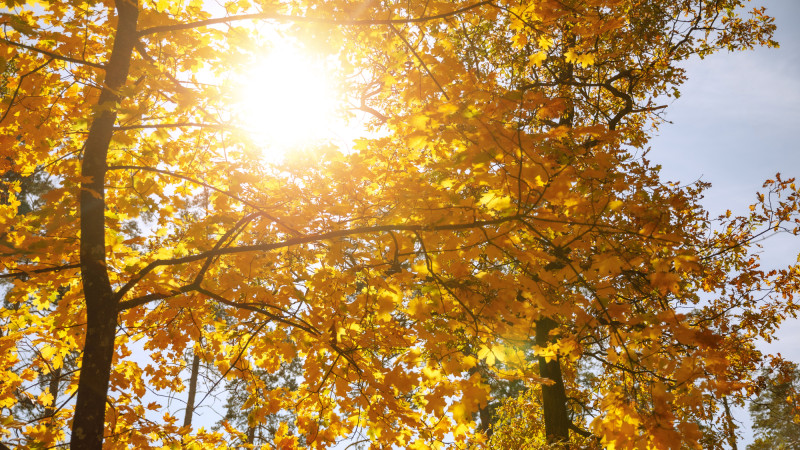 ©️ Depositphotos.com