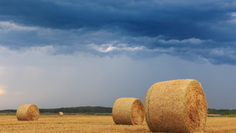 ©️ Depositphotos.com