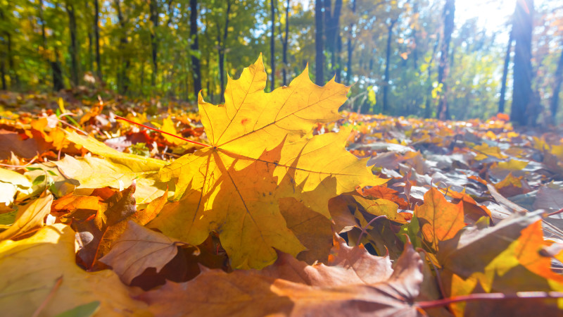 ©️ Depositphotos.com