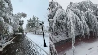 First snow in Astana and Kostanay: Kazakhstan reacts