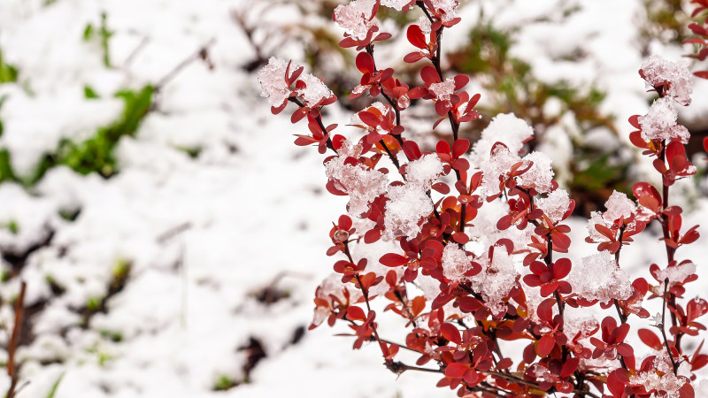 ©️ Depositphotos.com