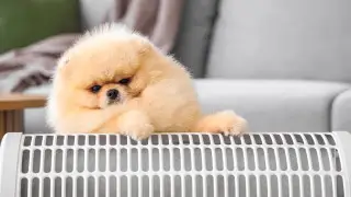 When will heating be turned on in Almaty? Authorities reveal the condition