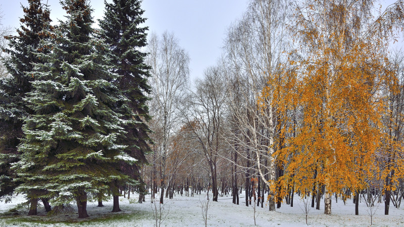 ©️ Depositphotos.com