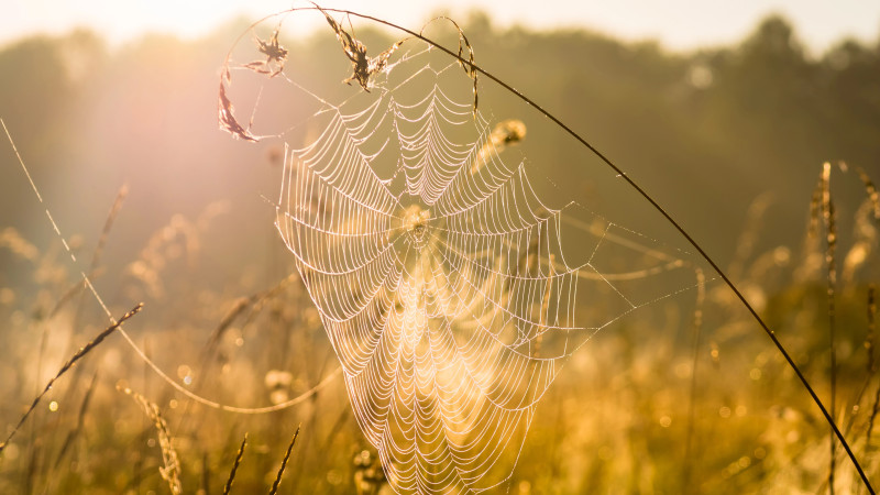 ©️ Depositphotos.com