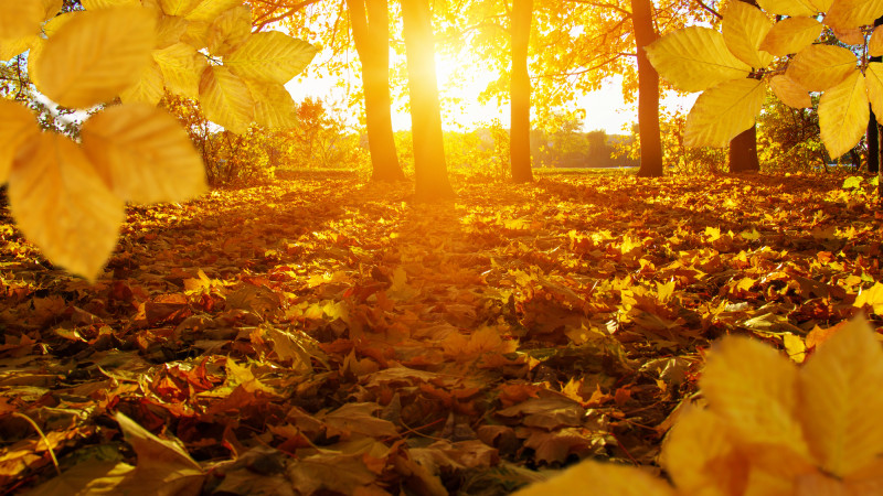 ©️ Depositphotos.com