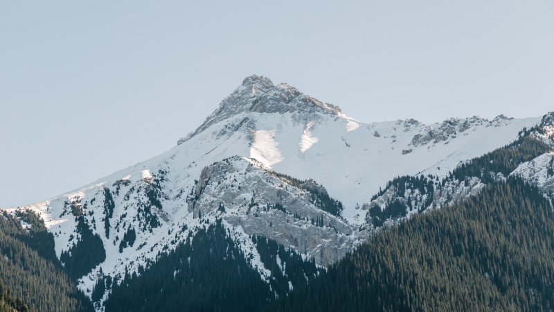 ©️ Tengrinews.kz / Alikhan Sariyev