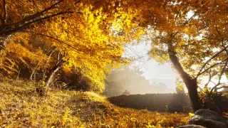 Sharp temperature contrast: frost in some parts of Kazakhstan, warm weather in others