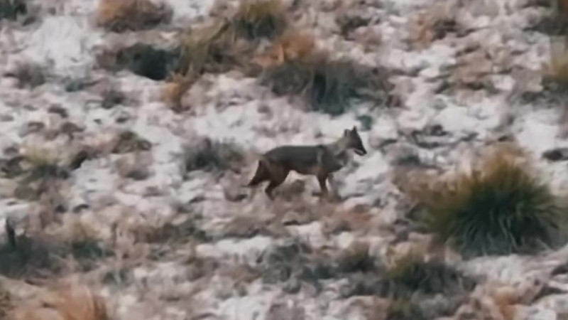 Image created from video frames