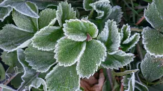 Frost and ice: weather forecast across Kazakhstan