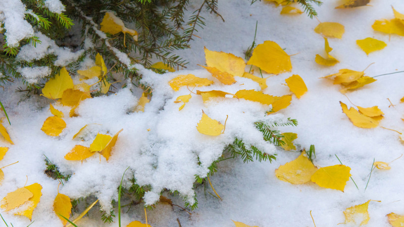 ©️ Depositphotos.com