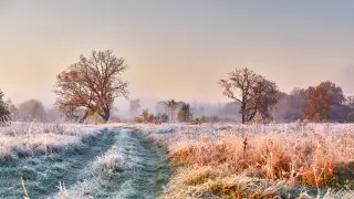 Sudden frosts and fog to cover Kazakhstan: list of cities