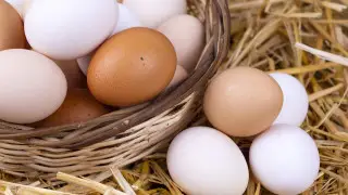 Kazakhstan prepares new ban on chicken egg imports