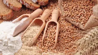 Ban on wheat supplies from Kazakhstan: when will Russia lift the restrictions